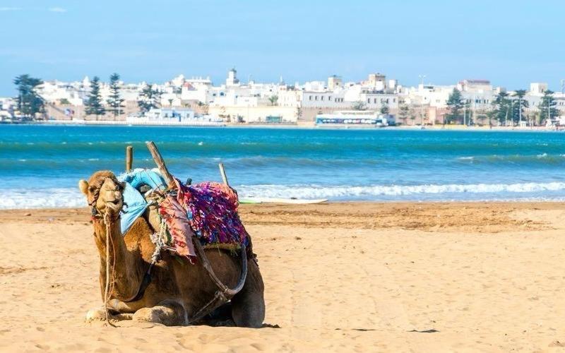 Appartement Essaouira Proche De La Mer Ngoại thất bức ảnh